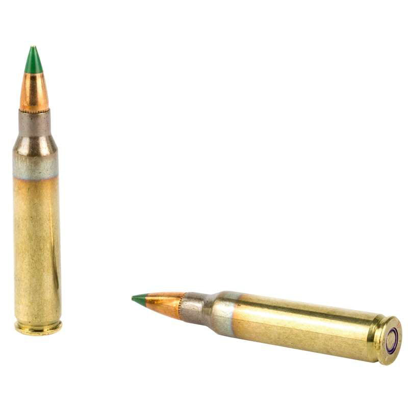 PMC X-Tac 5.56x45mm NATO Ammunition 62 Grain Green Tip Full Metal Jacket - 556K